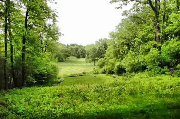 Hole 6 Kenyon Country Club